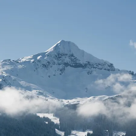The Terrace - Grindelhomes *