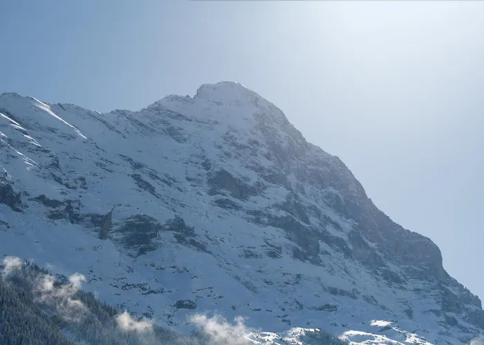 The Terrace - Grindelhomes * Grindelwald