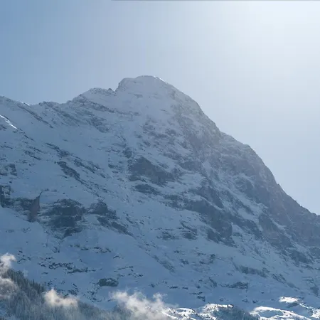 The Terrace - Grindelhomes * 格林德瓦